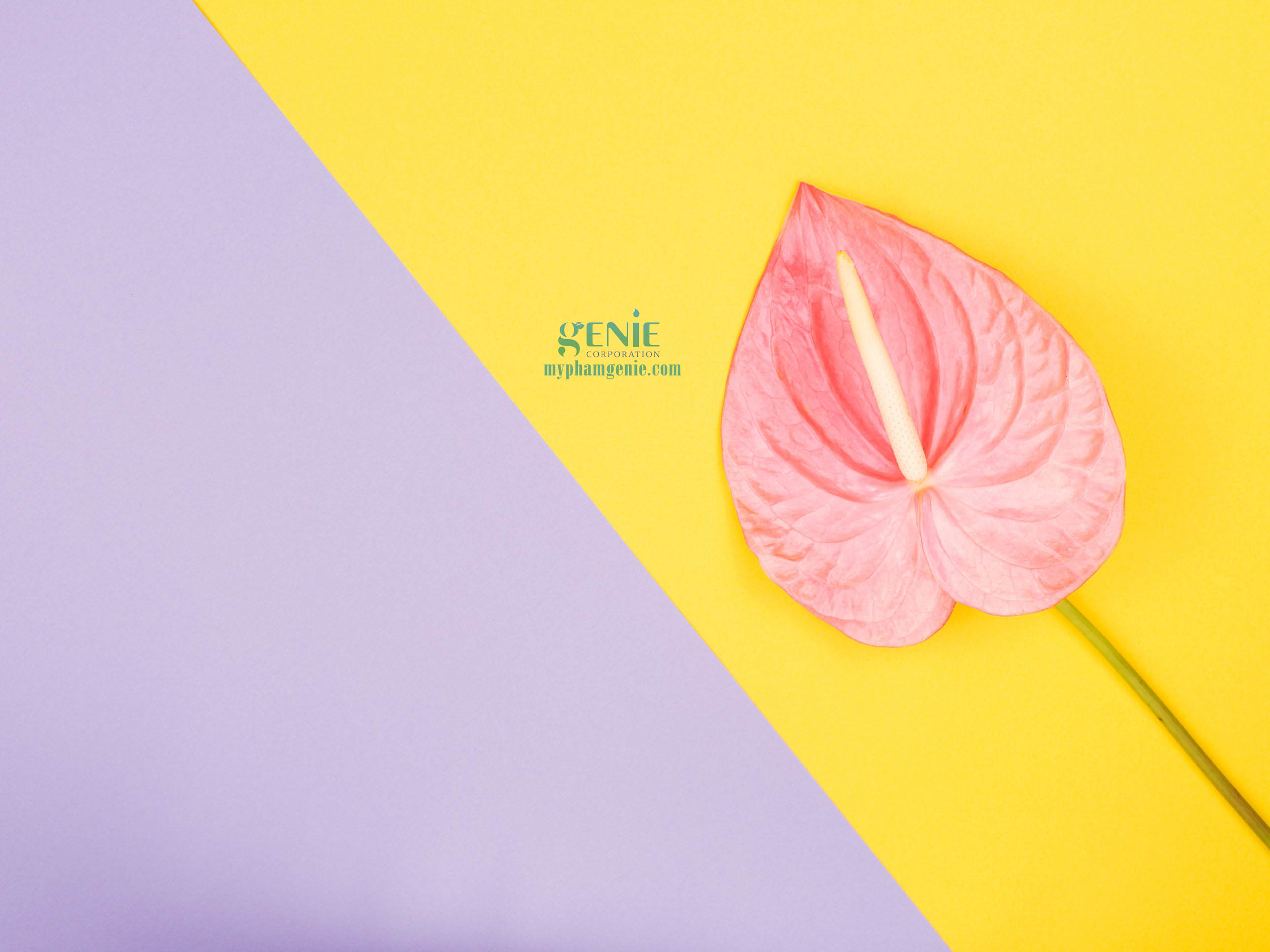Đối phó với mùi hôi vùng kín