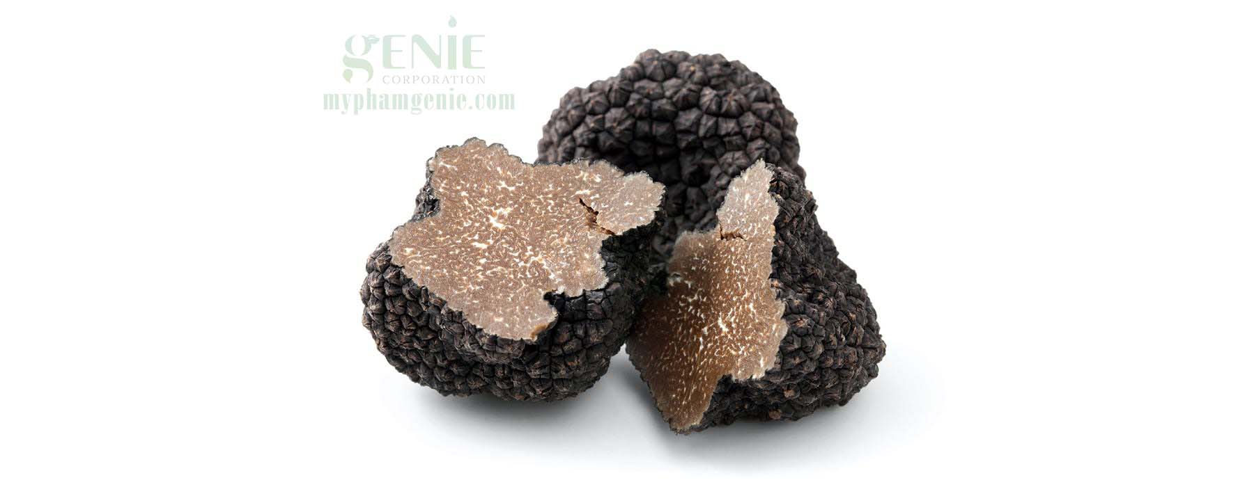 Tại sao nấm truffle lại đắt đỏ