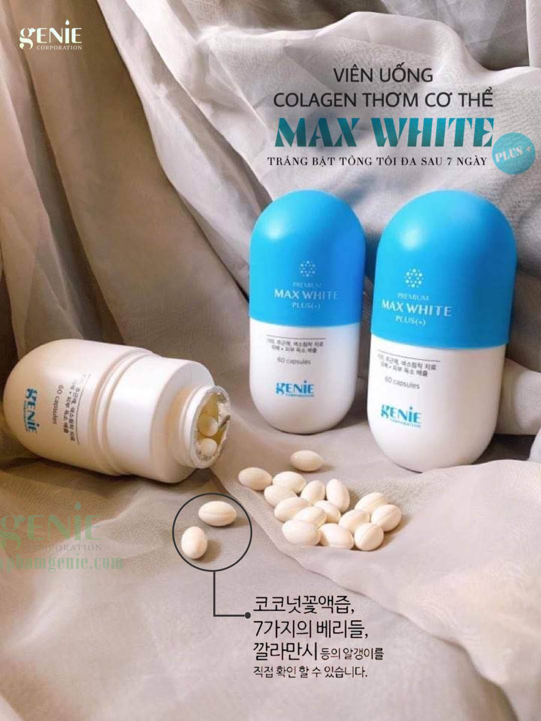 Ghế lãnh đạo Mắt Bảo