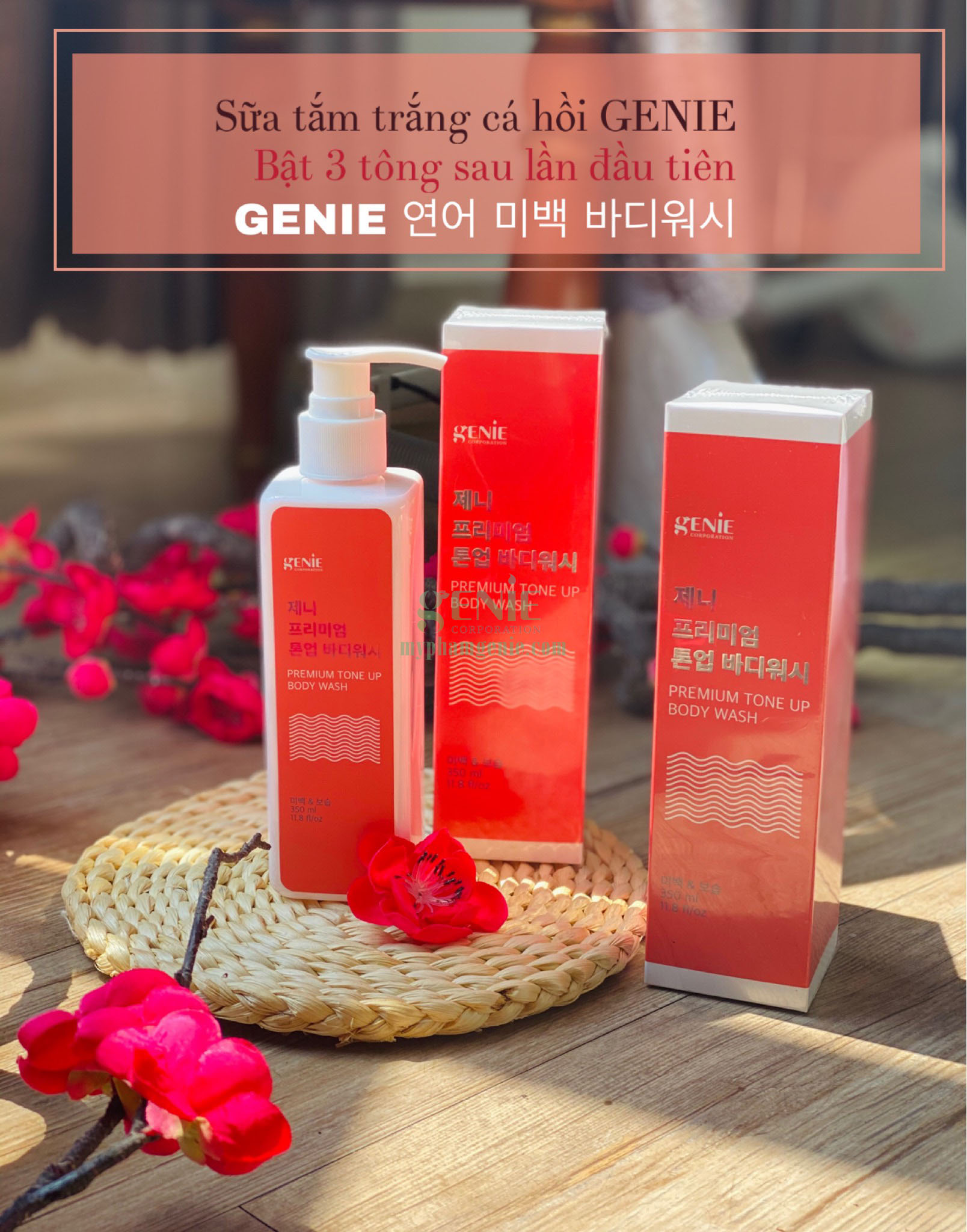 Ghế lãnh đạo Mắt Bảo
