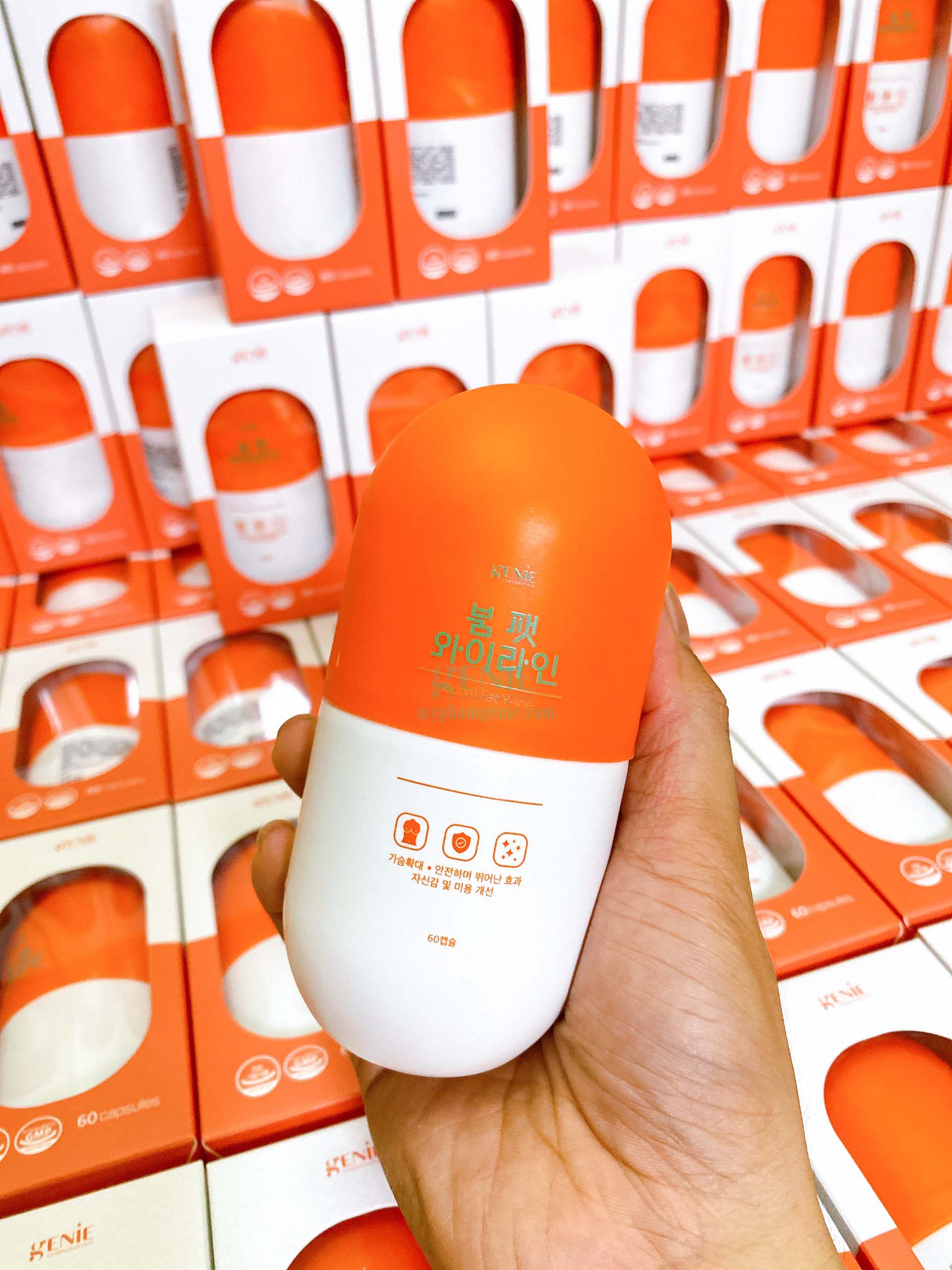 Ghế lãnh đạo Mắt Bảo