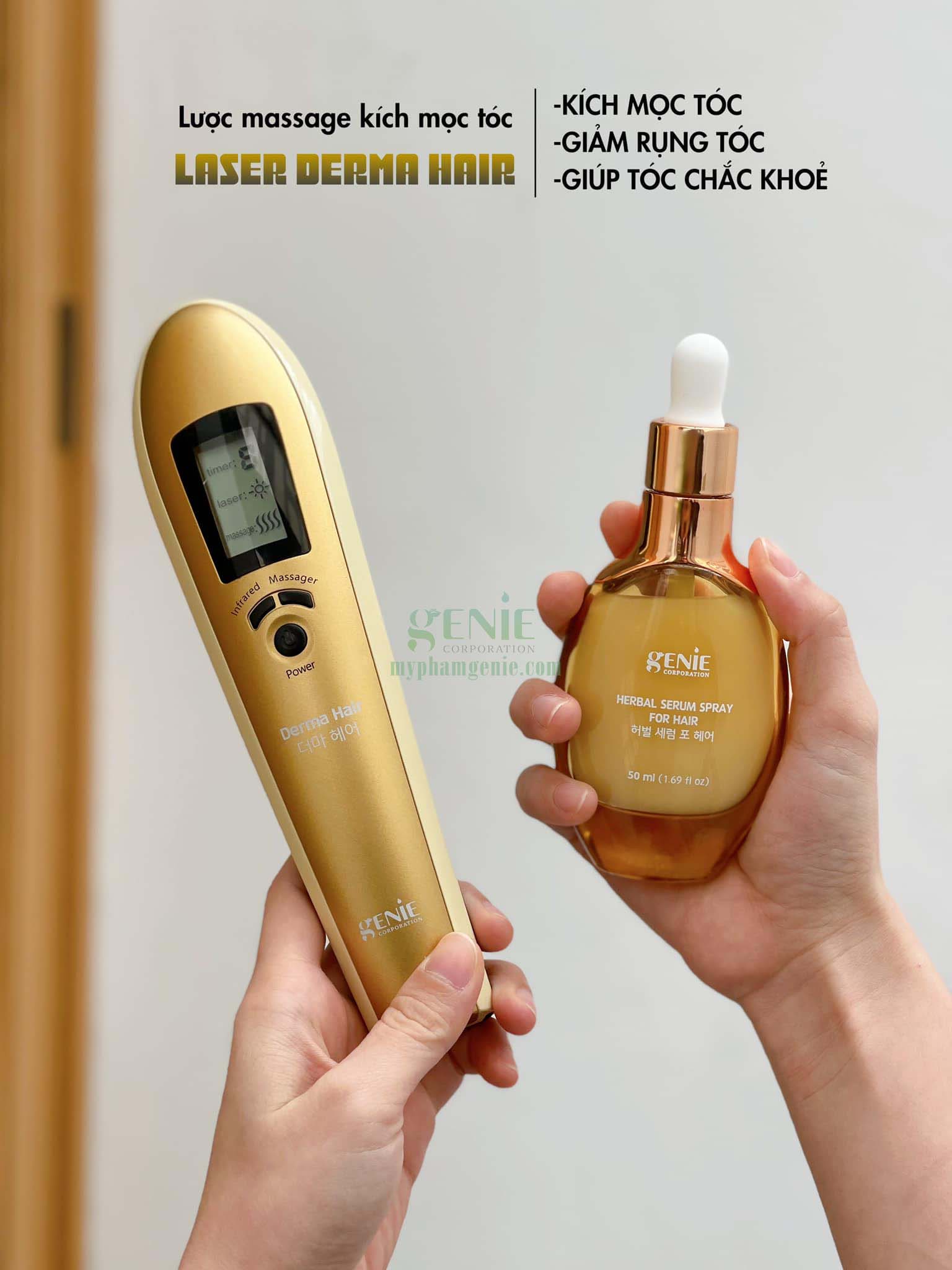 Ghế lãnh đạo Mắt Bảo